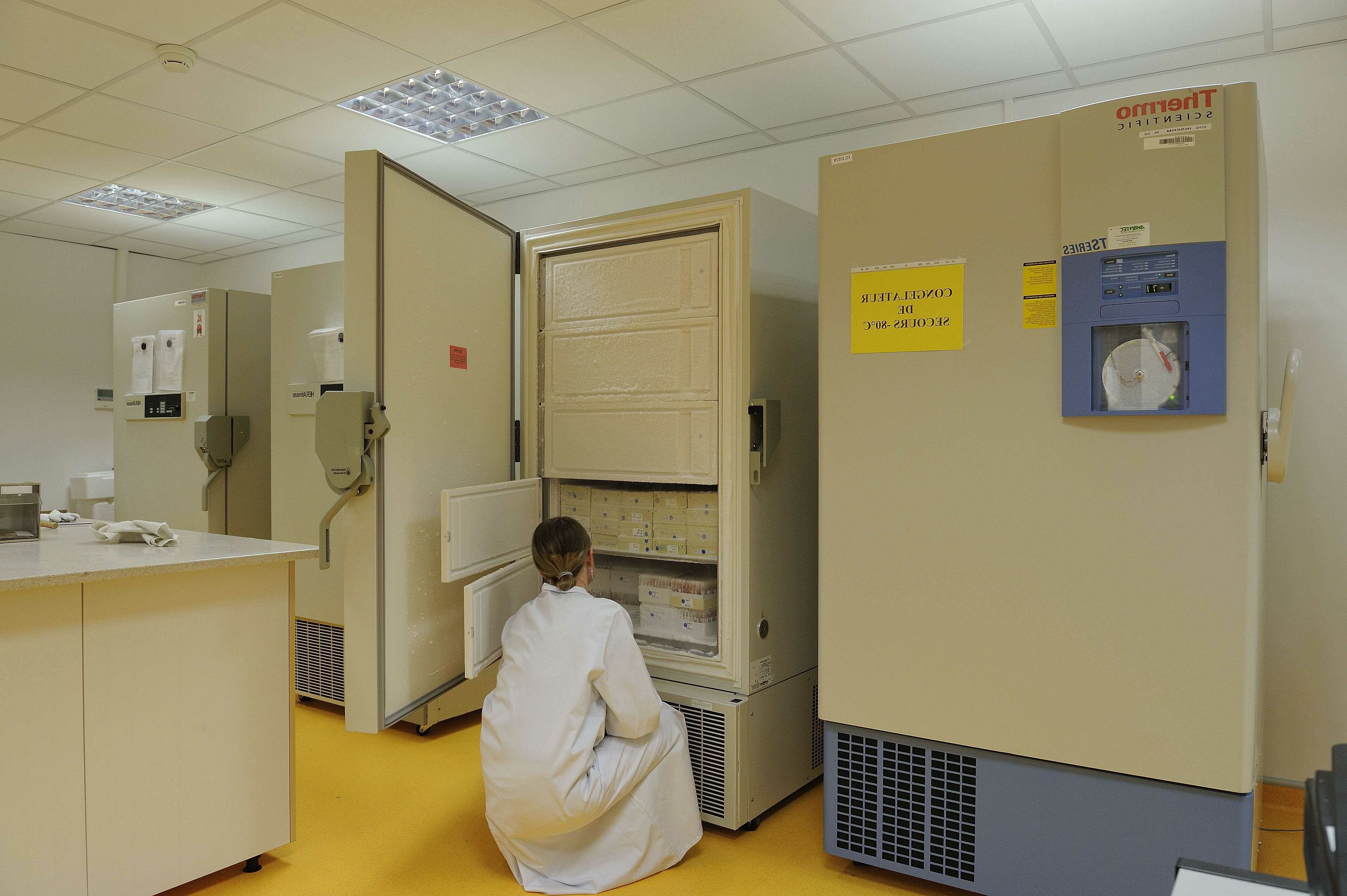 Image credit: Inserm / P. Delapierre
