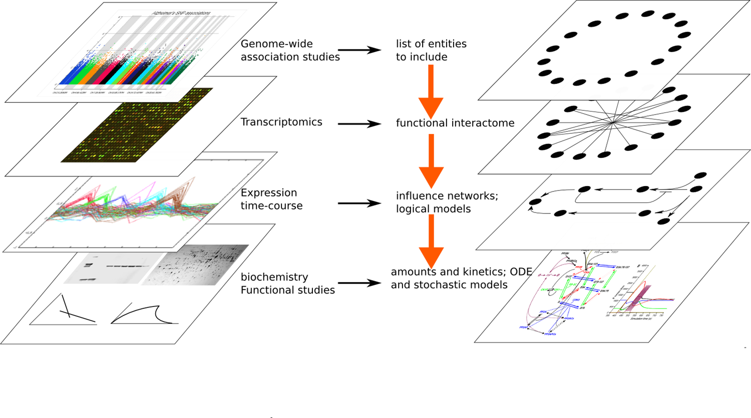 Image credit: N. LeNovere, Babraham Institute, UK