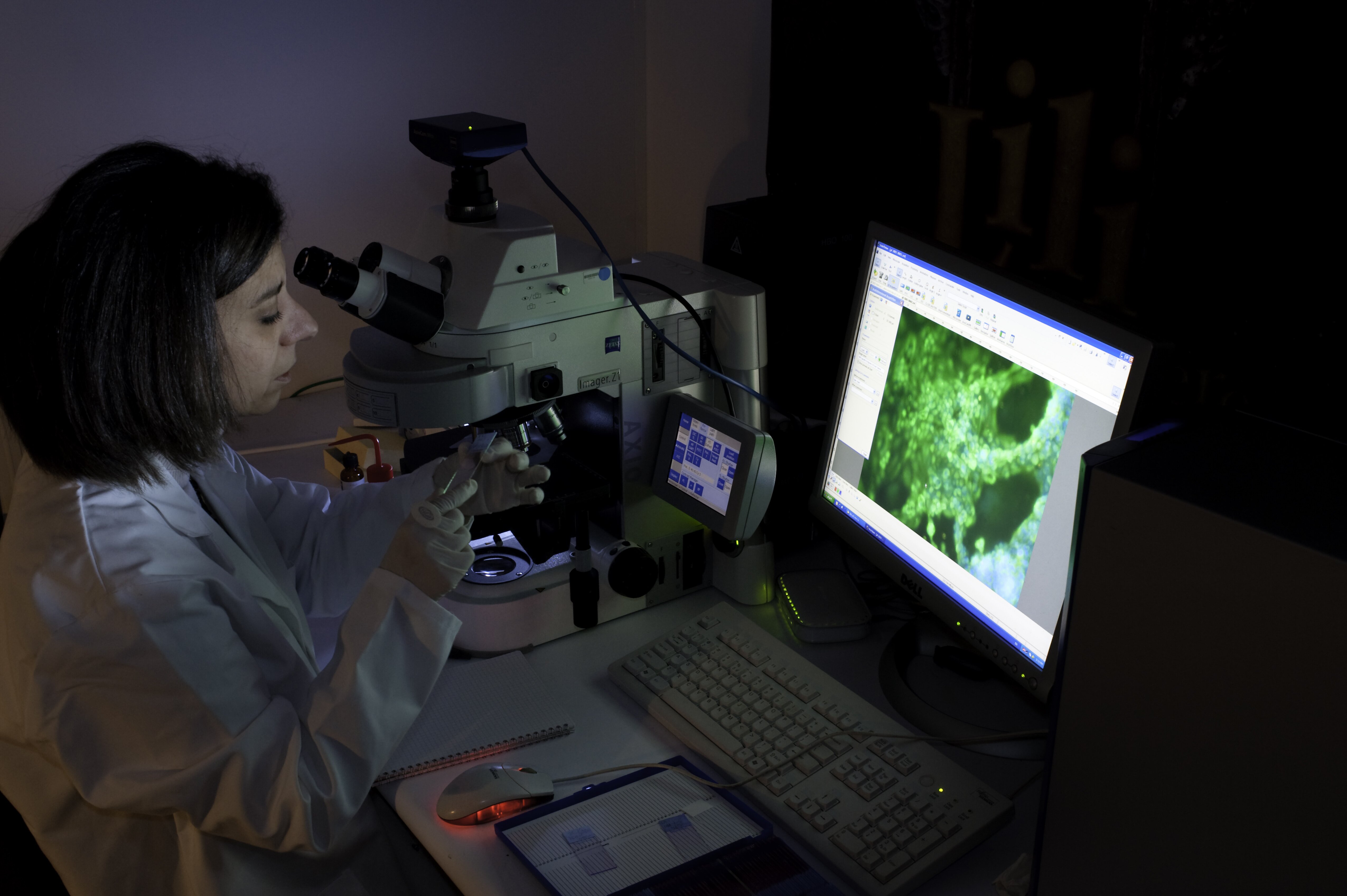 Image credit: Inserm / P. Latron 